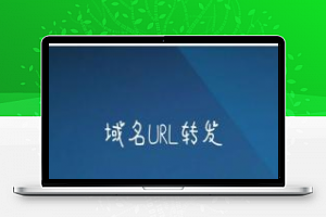 [整站源码]PHP域名url转发源码 支持隐性转发