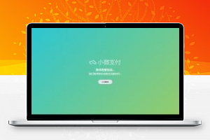 [整站源码]Thinkphp内核小微支付服务商专用源码